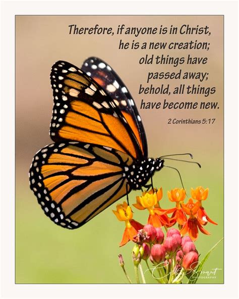 50 Best Ideas For Coloring Christian Butterfly Poems 50 Best Ideas For Coloring Christian Butterfly Poems