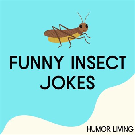 65 Funny Insect Jokes To Bug You With Laughter Humor Living 65 Funny Insect Jokes To Bug You With Laughter Humor Living