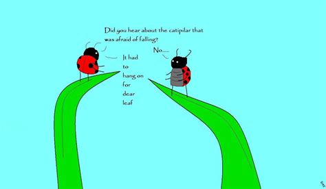 A Little Bug Pun For You Bug Lovers R Entomology A Little Bug Pun For You Bug Lovers R Entomology