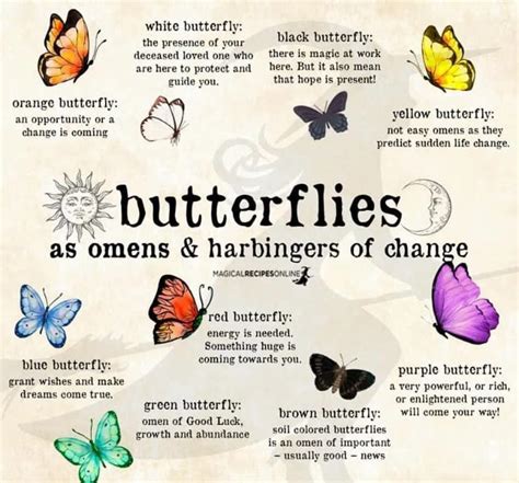 Black And Blue Butterfly Meaning