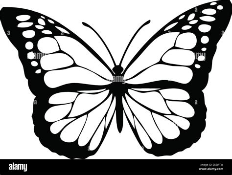 Black And White Butterfly Clipart Hi Res Stock Photography And Images Black And White Butterfly Clipart Hi Res Stock Photography And Images