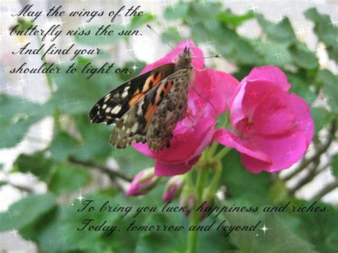 Butterfly Poems And Sayings An Assortment Of Poems About Butterflies Butterfly Poems And Sayings An Assortment Of Poems About Butterflies
