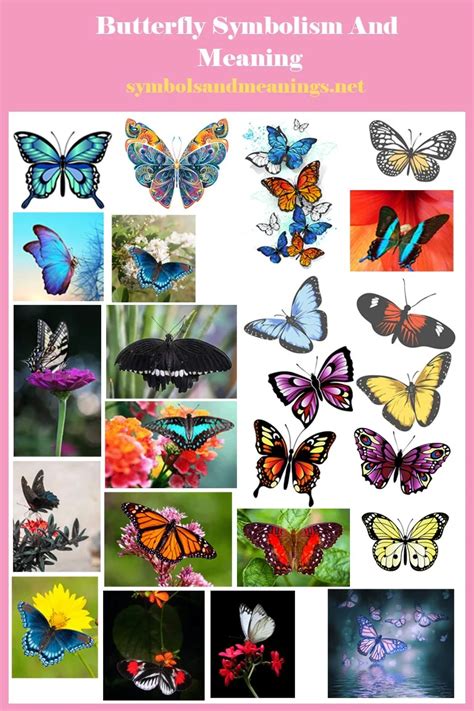 Butterfly Symbolism And Meaning What Do Butterflies Symbolize Yellow Butterfly Symbolism And Meaning What Do Butterflies Symbolize Yellow