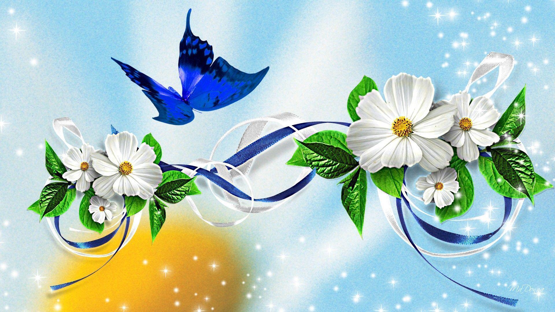 Butterfly Wallpaper