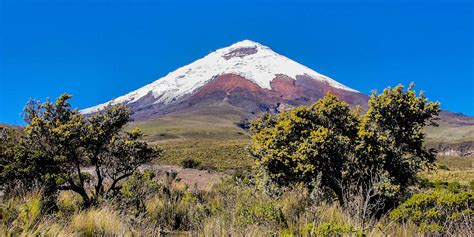 Caracteristicas Del Cotopaxi Discount Cpshouston Net Caracteristicas Del Cotopaxi Discount Cpshouston Net