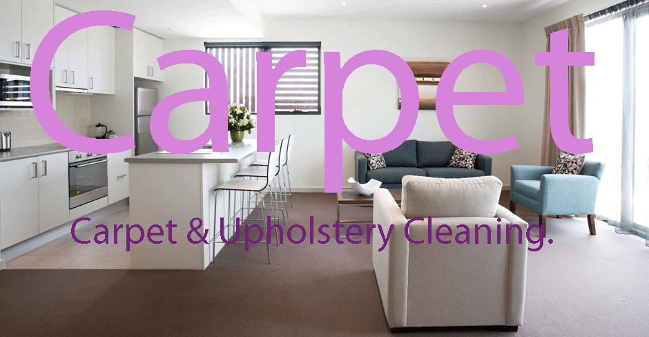 Carpet Cleaning Jacksonville Fl Video Testimonials Jessie S House