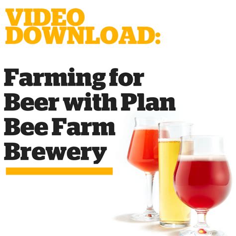 Farming For Beer With Plan Bee Farm Brewery Craft Beer Brewing Plan Farming For Beer With Plan Bee Farm Brewery Craft Beer Brewing Plan