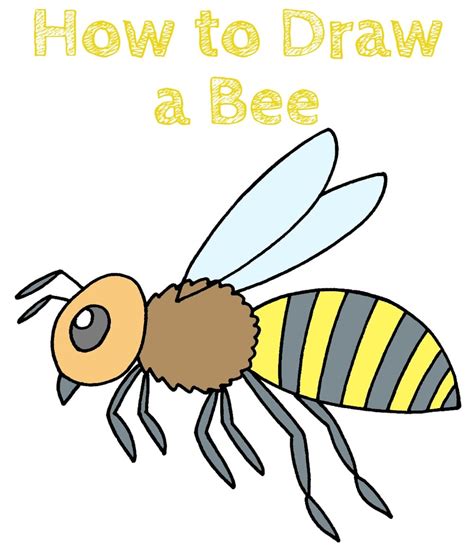 How To Draw A Bee 10 Easy Drawing Projects How To Draw A Bee 10 Easy Drawing Projects