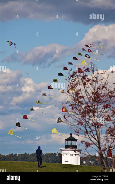 Kites Flying In Bug Light Park In Portland Maine At The Site Of The Kites Flying In Bug Light Park In Portland Maine At The Site Of The