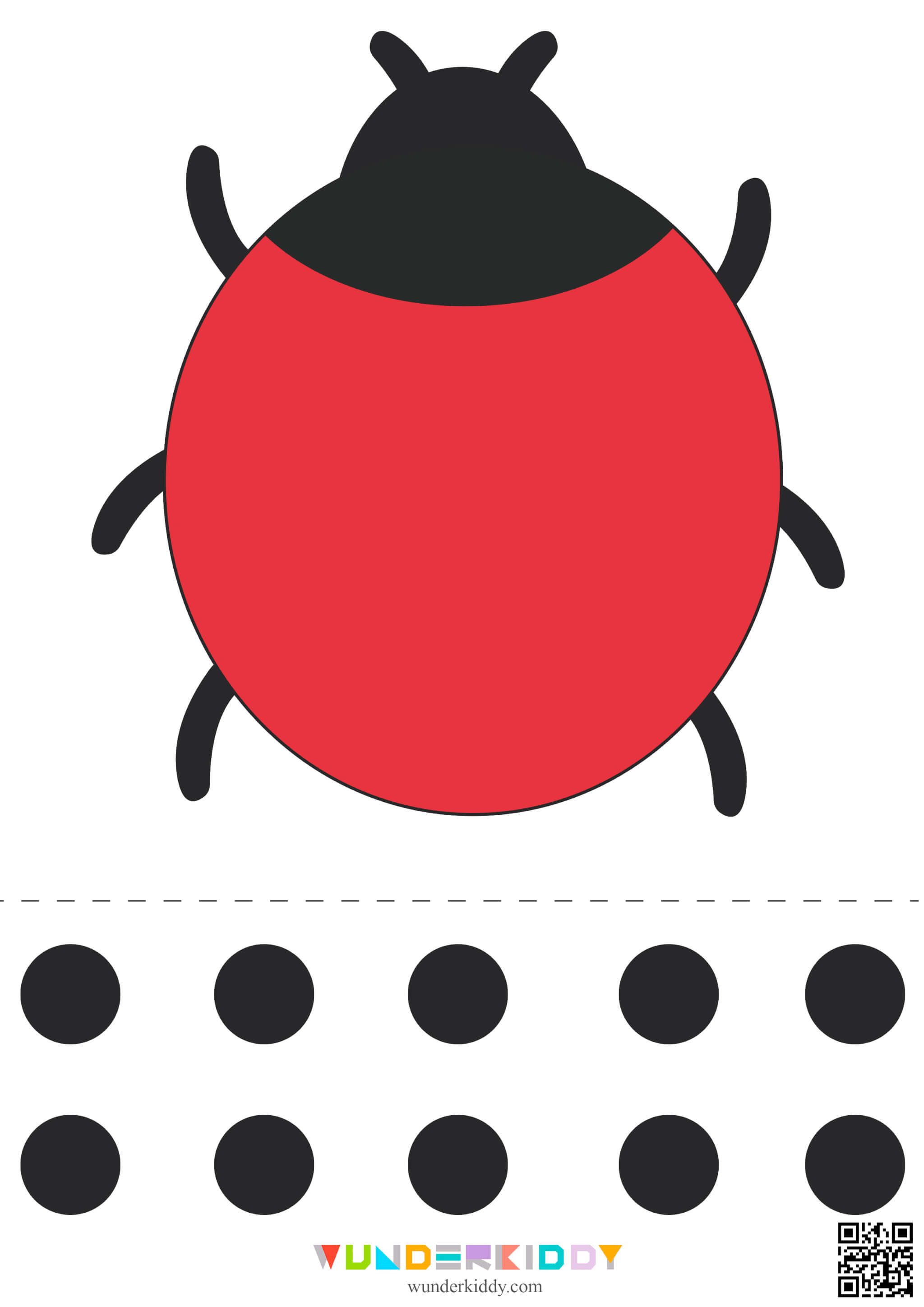 Ladybug With No Spots