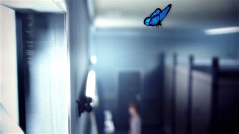 Life Is Strange Butterfly