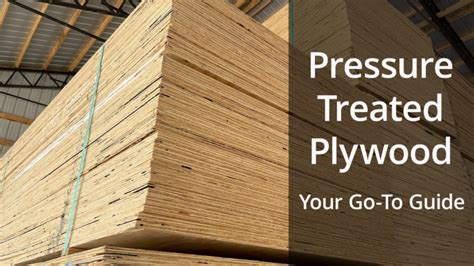 Pressure Treated Plywood Your Go To Guide For All You Need To Know Pressure Treated Plywood Your Go To Guide For All You Need To Know