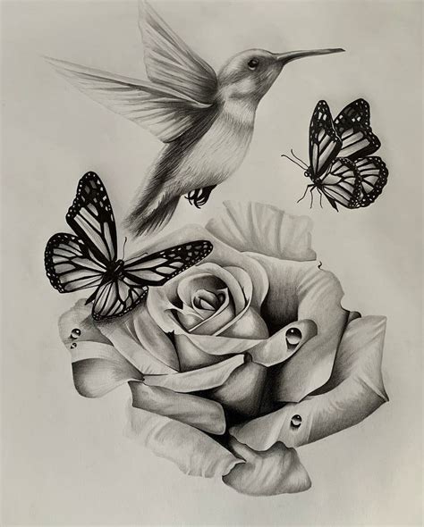 Rose And Butterflies By Zetas Art On Deviantart Rose And Butterflies By Zetas Art On Deviantart