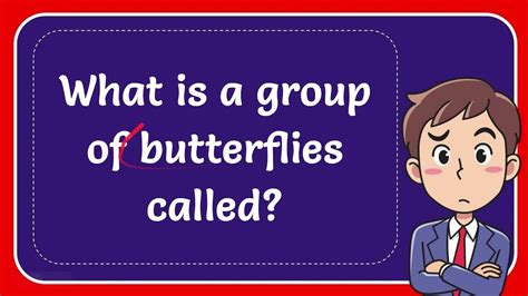 What Is A Group Of Butterflies Called Youtube